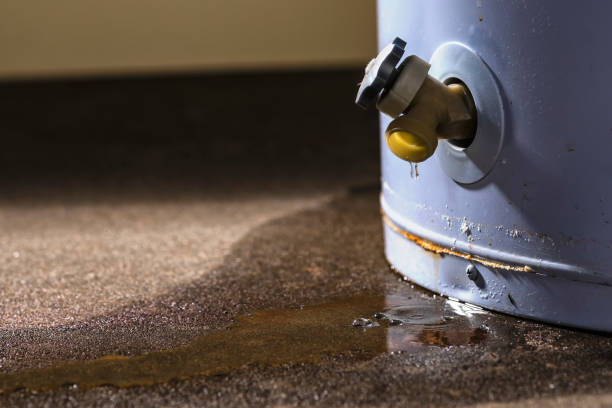 Best Basement water damage restoration  in Westwood Lakes, FL