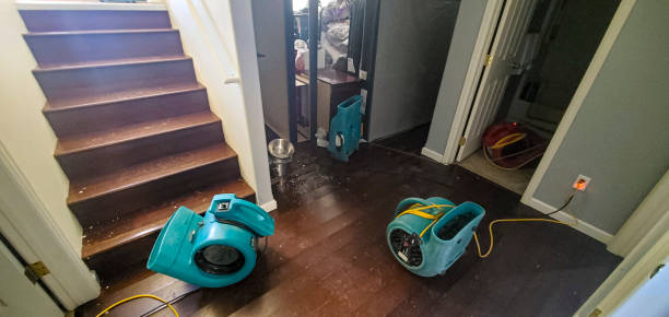 Best 24/7 water damage repair  in Westwood Lakes, FL