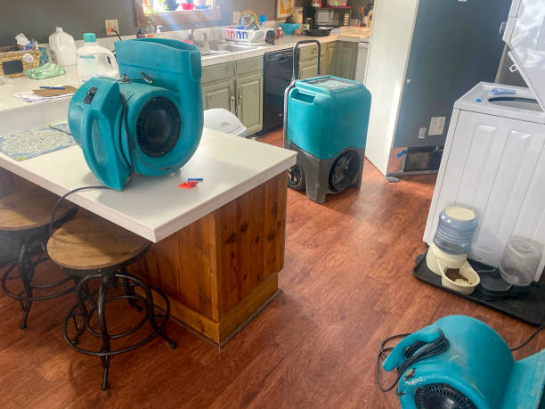 Best Professional water damage repair  in Westwood Lakes, FL