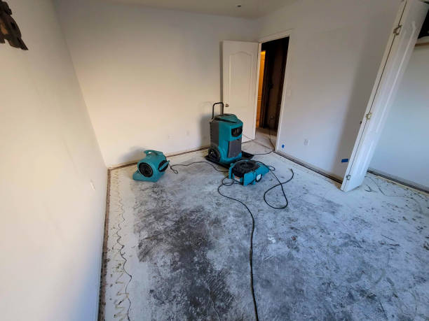 Reliable FL Water damage restoration Solutions