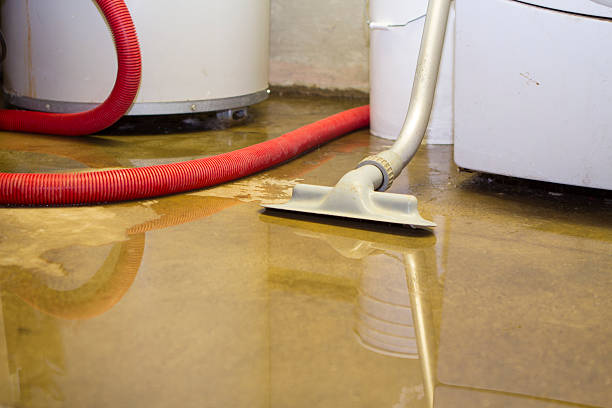 Best Sewage cleanup and water damage restoration  in Westwood Lakes, FL