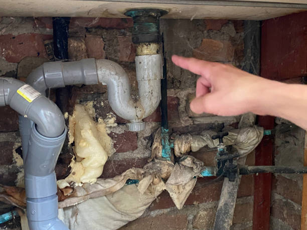 Best 24-hour water damage restoration  in Westwood Lakes, FL