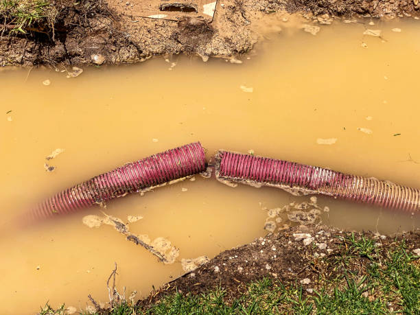 Best 24-hour water damage restoration  in Westwood Lakes, FL