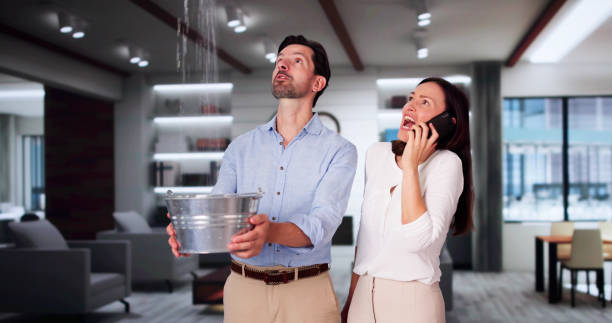 Best Mold removal after water damage  in Westwood Lakes, FL