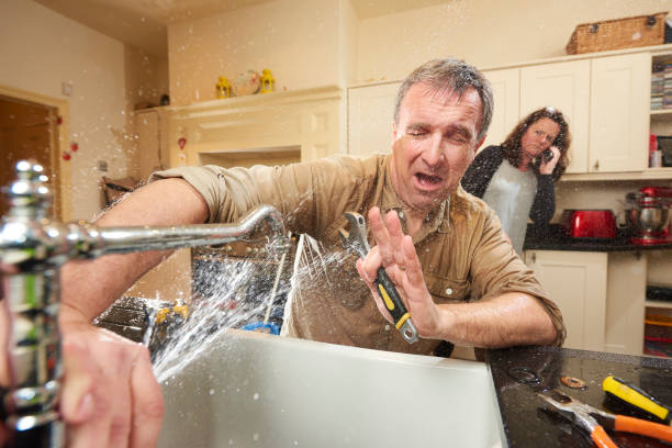 Best Water damage contractors near me  in Westwood Lakes, FL